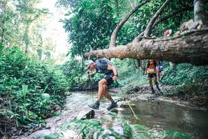 BIB: 
                            <button type="button" onclick="openModal(25431647)" class="btn btn-primary btn-sm float-right btn-popup" data-toggle="modal" data-target=".modal-high-quality">
                        <i class="fas fa-shopping-cart"></i> Add to Cart
                    </button>
                                            <button type="button" onclick="isThisMe(25431647, true)" class="btn btn-success btn-sm float-right btn-popup btn-isme hidden" data-toggle="tooltip" data-placement="bottom" title="นี่คือรูปของคุณใช่ไหม คลิกที่นี่เพื่อเอาเข้าอัลบั้ม">
                        <i class="fas fa-plus"></i> Add to album
                    </button>
                    <button type="button" onclick="isThisMe(25431647, false)" class="btn btn-warning btn-sm float-right btn-popup btn-isnotme hidden">
                        <i class="fas fa-ban"></i> Remove from album
                    </button>